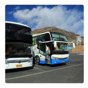 Buses & Microbuses