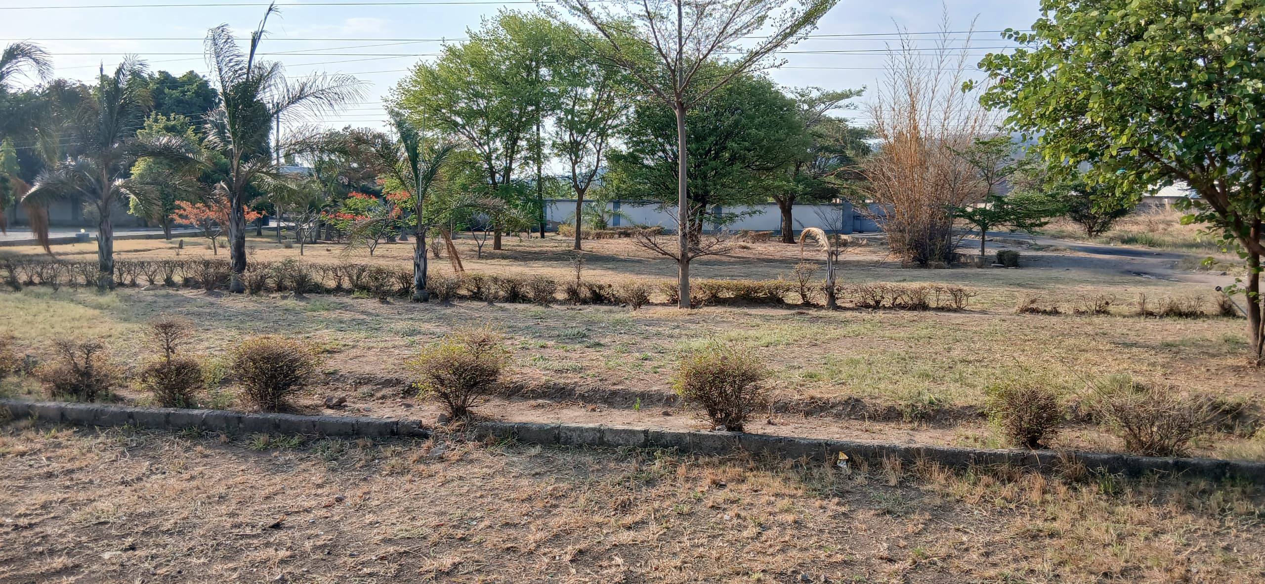 Road Frontage Land For Sale