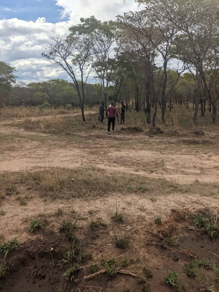 Prime plot for sale – Lusaka West