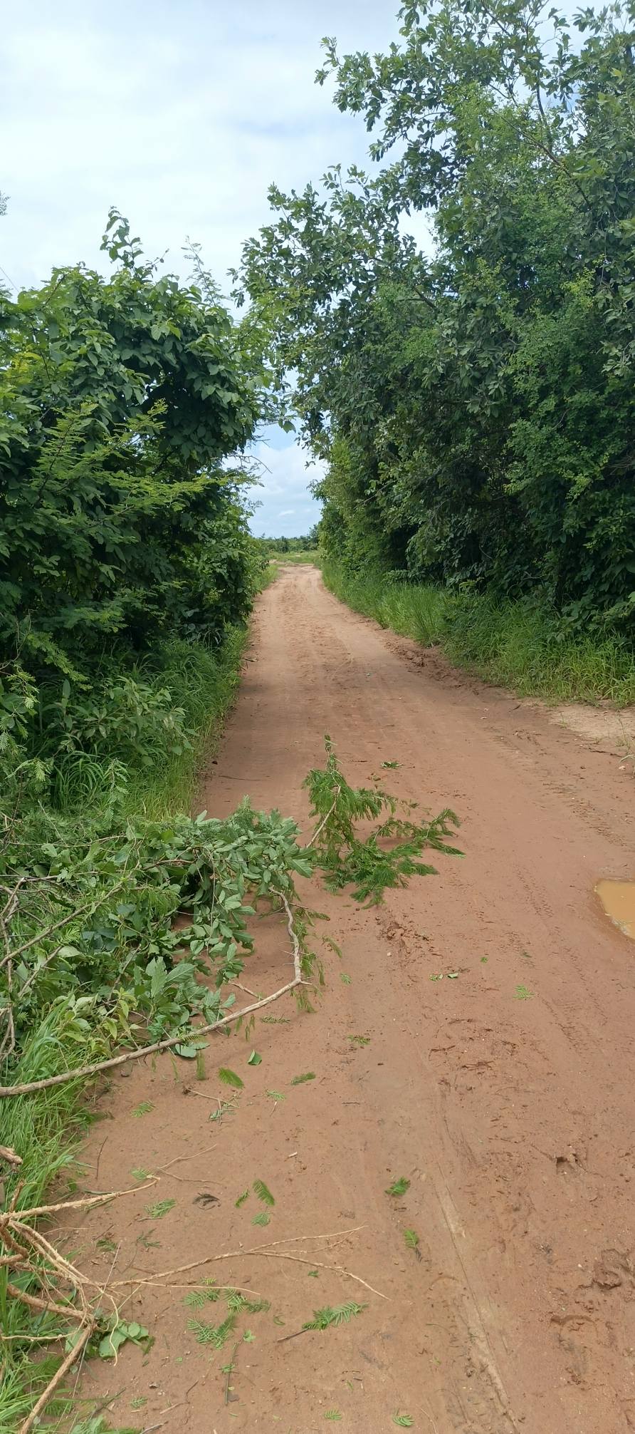 Plot for Sale 20x30 (10 Miles Mungule)