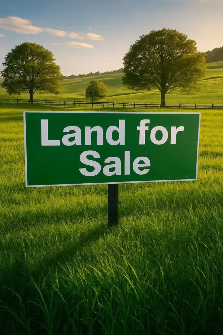 PLOT (Tradional land)